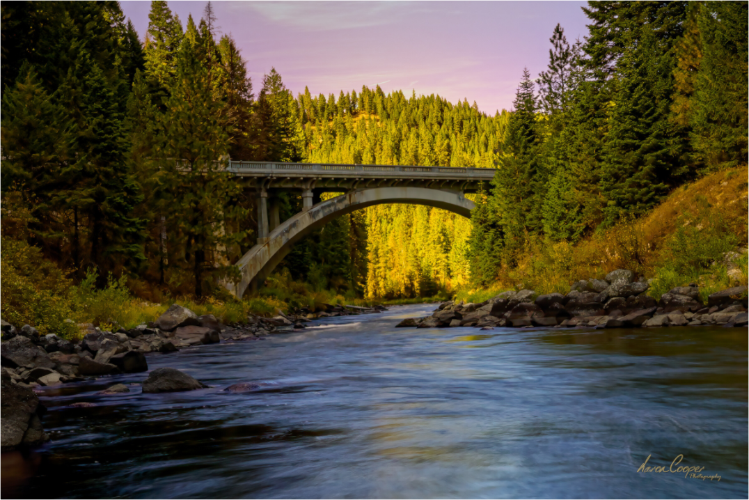 Main image Where the River Leads