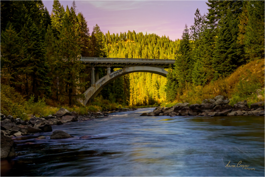 Main image Where the River Leads