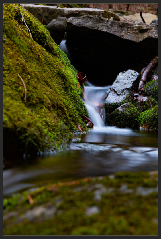 Main image Between Moss and Stone