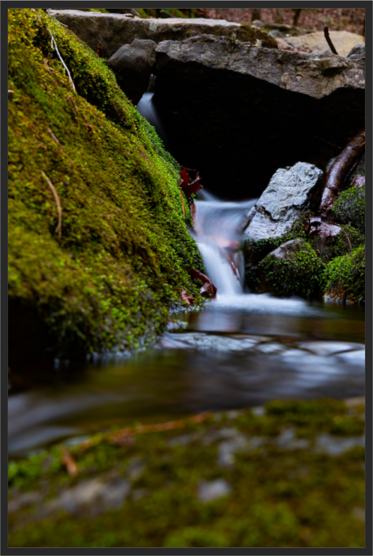 Main image Between Moss and Stone