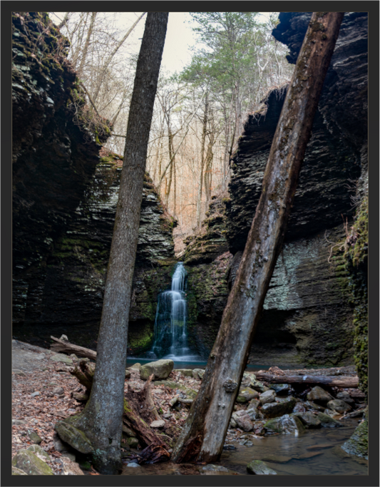 Main image Between the Tress