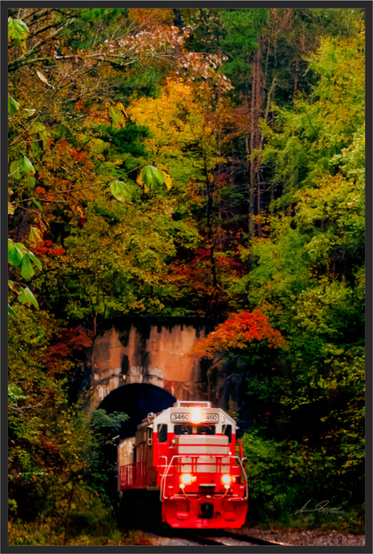 Main image Emerging from autumn