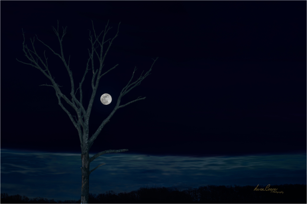 Main image Held by the Snow Moon