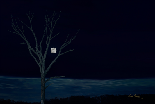 Main image Held by the Snow Moon
