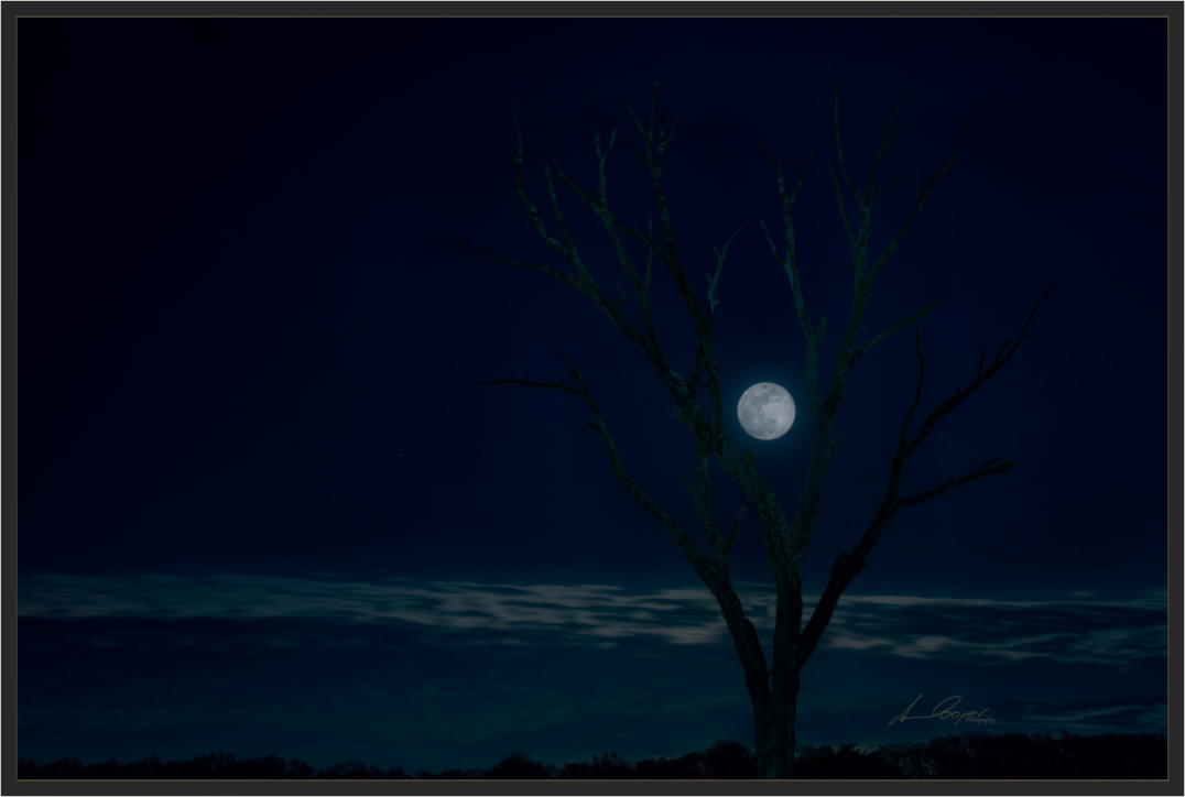 Main image Held by the Snow Moon