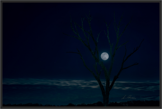 Main image Held by the Snow Moon