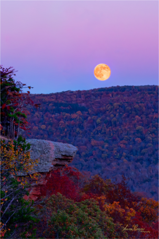 Main image Evening on The Edge