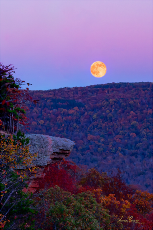 Main image Evening on The Edge